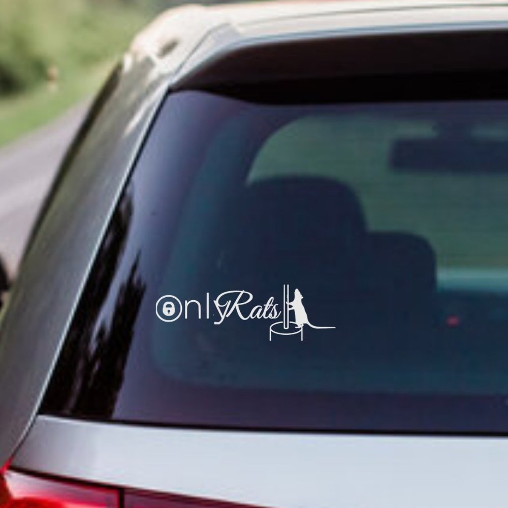 Only Rats- Funny Rats Vinyl Decals Car, Laptop, Windows, Phone Case Sticker
